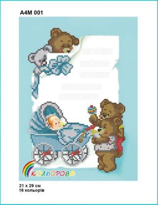 Метрика дитяча для хлопчика А4М 001 Кольорова