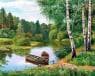 Берези біля річки