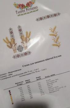 Заготовка блузки