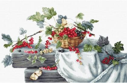 Червона смородина В2262 Luca S