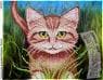 Котик