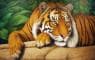 Мудрий тигр