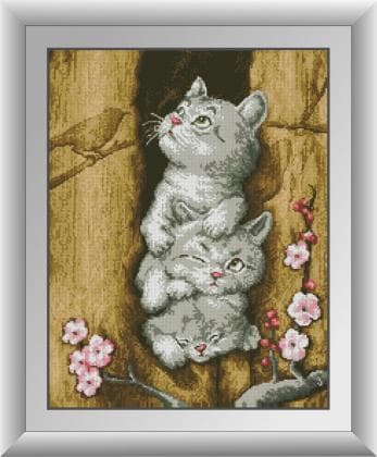 Розбійники 30273 Dream Art