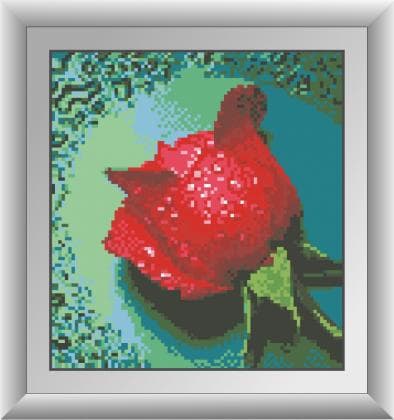 Роса на червоній троянді 30288 Dream Art