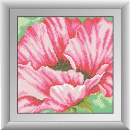 Рожеві маки 30294 Dream Art