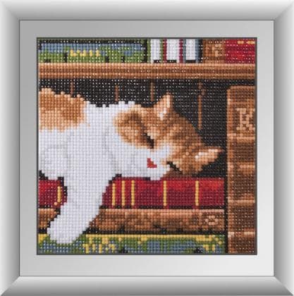 Кошеня на книжковій полиці 30363 М Dream Art