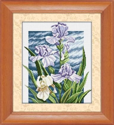 Королівські іриси 30372 Dream Art