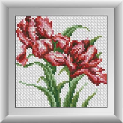 Червоні іриси 30386 М Dream Art