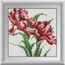 Червоні іриси