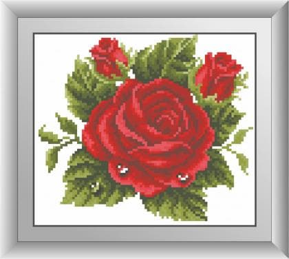 Роза в росі 30404 Dream Art