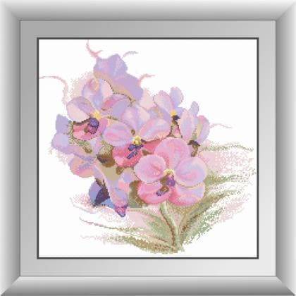 Орхідея 30434 Dream Art