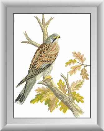Сокіл 30503 Dream Art