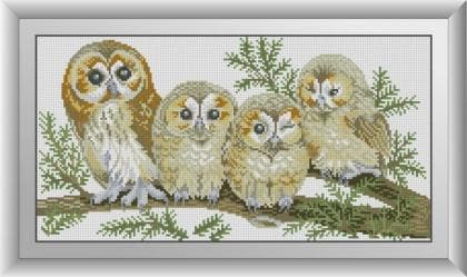 Сім'я сов 30546 Dream Art