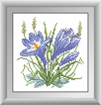 Крокус 30564 Dream Art
