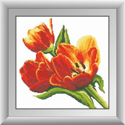 Букет тюльпанів 30599 Dream Art