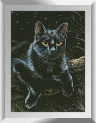 Принц ночі 31448 Dream Art