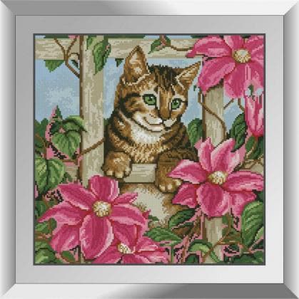 Цікавість кошеня 31555 Dream Art