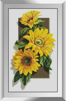 Сонячні квіти 31567 Dream Art