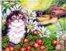 Котик