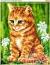 Котик