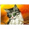Котик