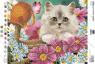 Котик