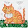 Котик