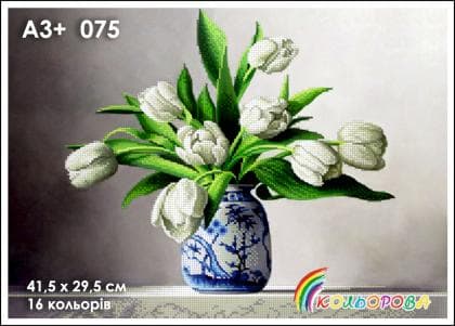 Білі тюльпани А3-075 Кольорова