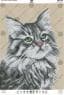 Муркотик
