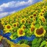 Чудова Україна