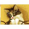 Котик