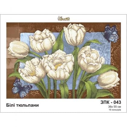Білі тюльпани ЗПК-043 Золота підкова