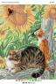 Коти та метелик (част. виш)