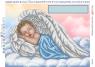 Метрика хлопчик