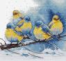 Птахи Східні Сіалії