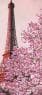 Париж Ейфелева вежа