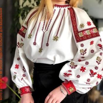 Заготовка блузки