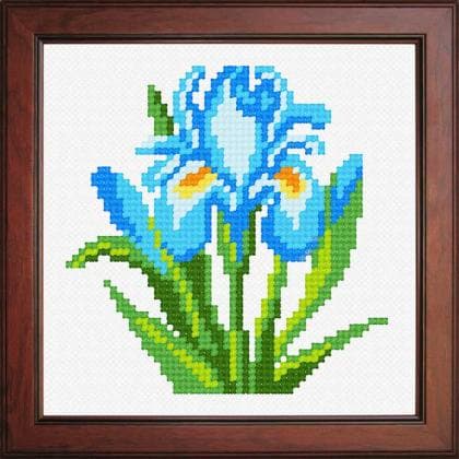 Блакитний півник N-1035 Orchidea