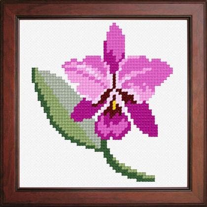 Орхідея N-1154 Orchidea