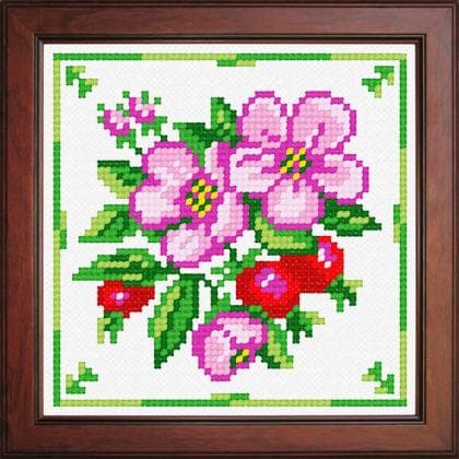 Шипшина (квіти та плоди) N-1241 Orchidea