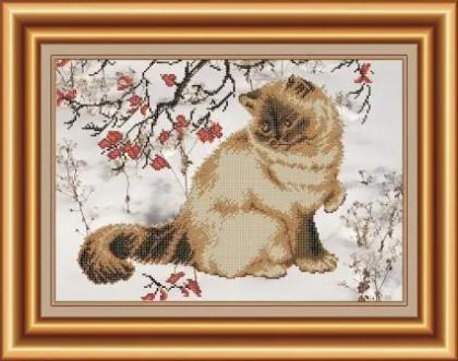 Сіамська кішка СКВ-025 Княгиня Ольга