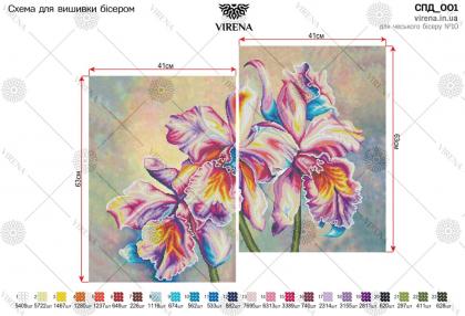Орхідеї СПД-001 VIRENA