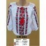 Заготовка для блузки
