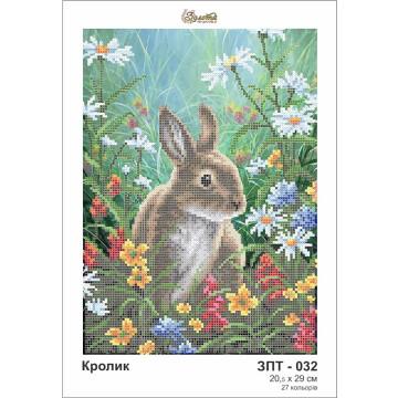 Кролик ЗПТ-032 Золота підкова